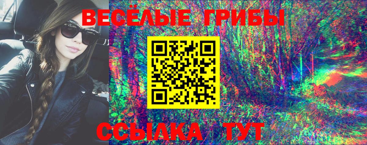 Псилоцибиновые грибы мухоморы Междуреченск