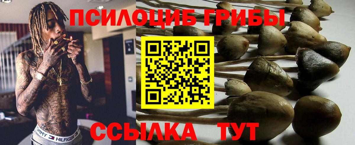 Галлюциногенные грибы GOLDEN TEACHER  Вход с VPN  Междуреченск 